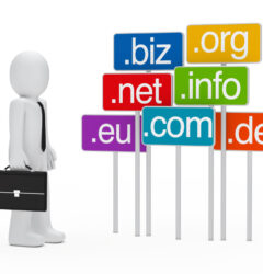 What is Domain Registration