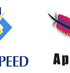 Apache vs LiteSpeed Servers Comparison for WordPress